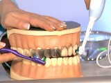 Чистые звуки – чистые зубы!
