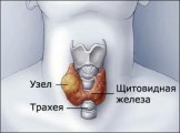 Изменения щитовидной железы